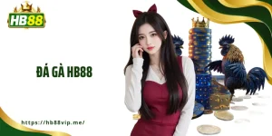 Đá gà HB88