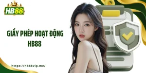 Giấy phép hoạt động HB88